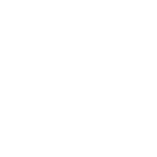 Laura Ficheux – Portfolio